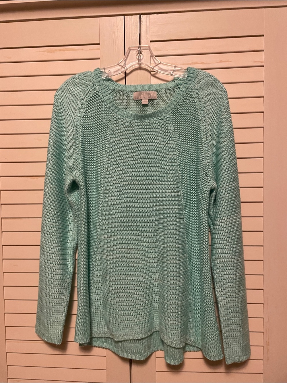 Carolyn Taylor Mint Green Crewneck Sweater